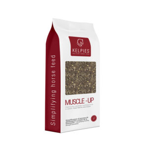 MUSCLE UP - Pienso de engorde para caballos de carreras