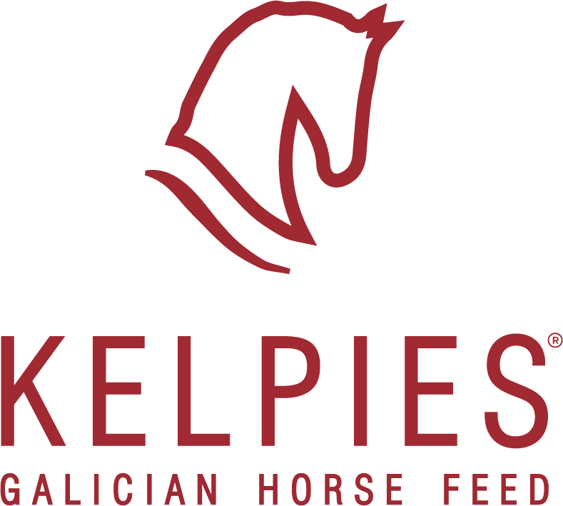 Kelpies Galicia