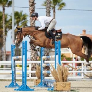 Alimento para caballos de carreras