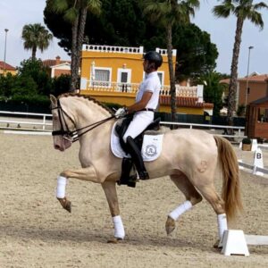 Piensos para caballos de Actividad moderada