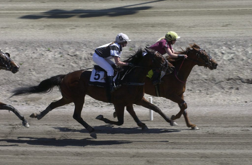 carrera de trote