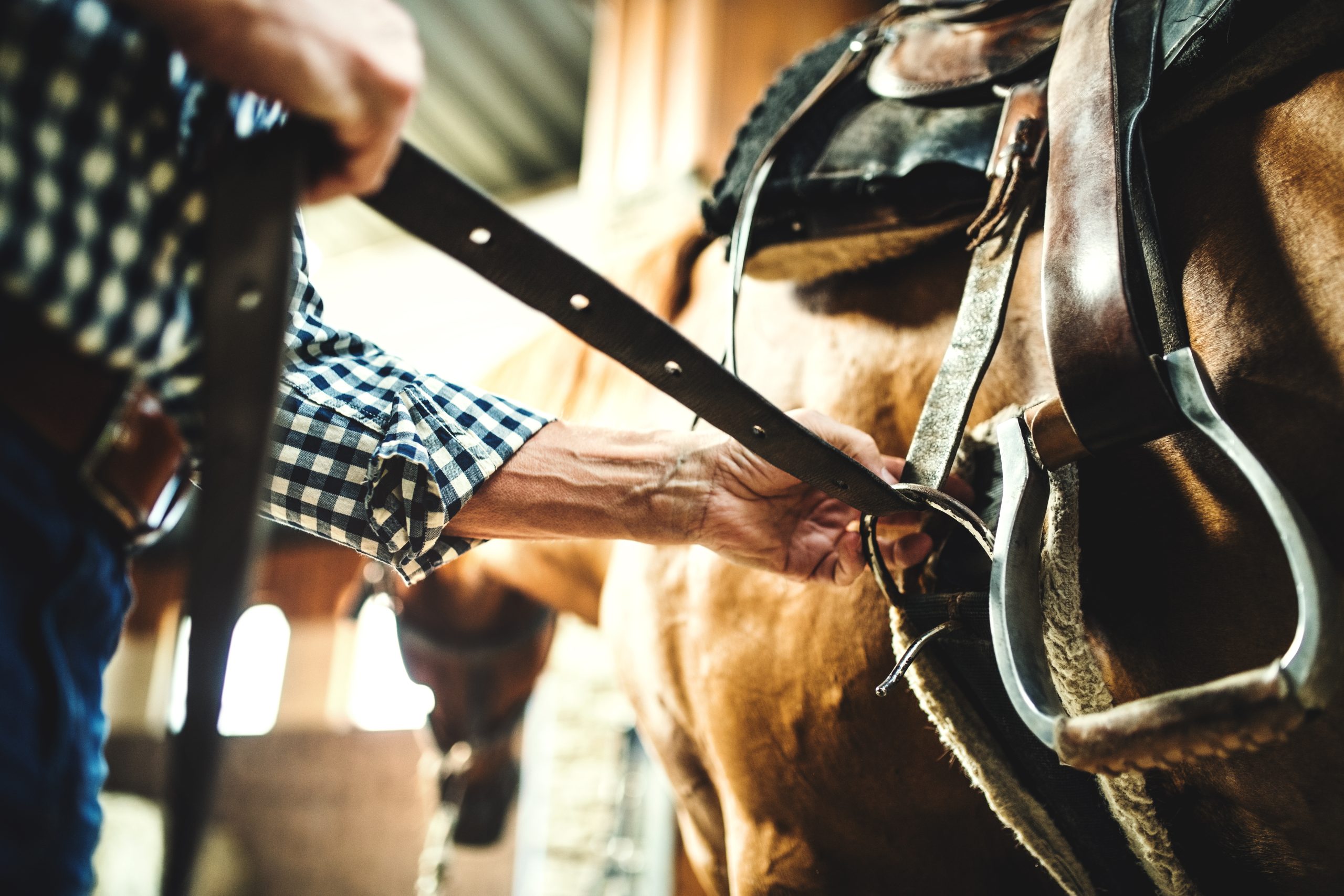 saddle-fitting