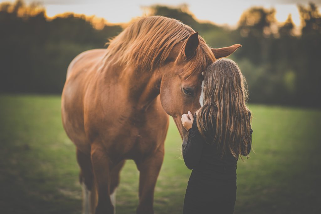 caballo niña
