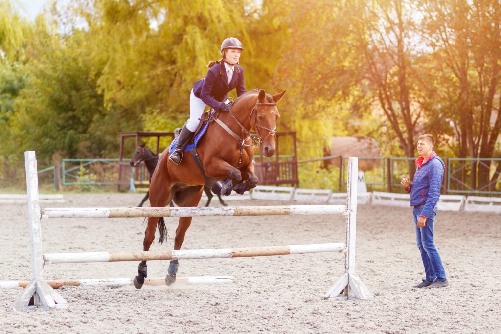 entrenador caballo