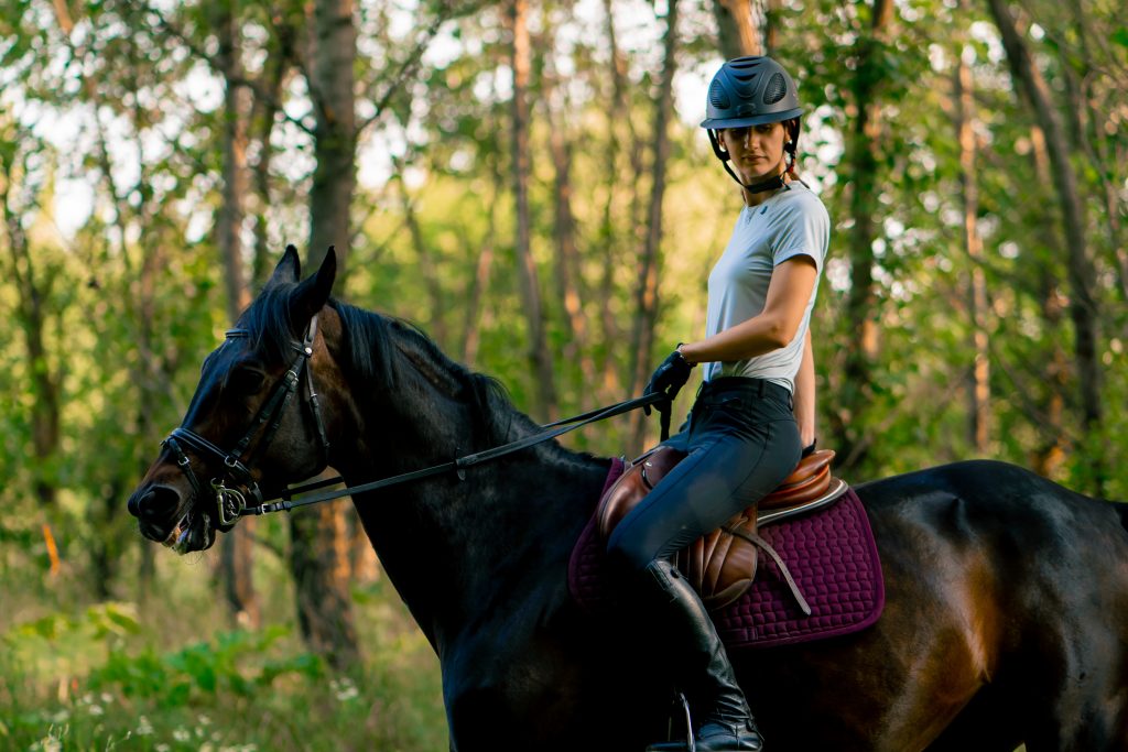 jinete y caballo
